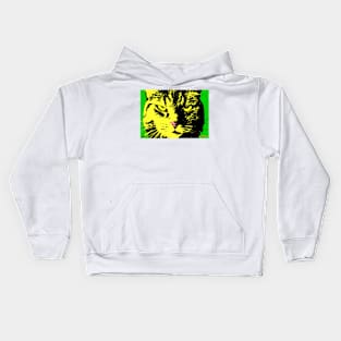 ANGRY CAT POP ART - YELLOW BLACK GREEN Kids Hoodie